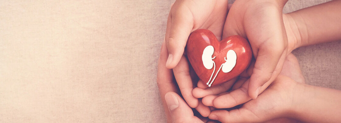 World Organ Donation Day 2021 COVID-19 And The Impact Of Organ Donation